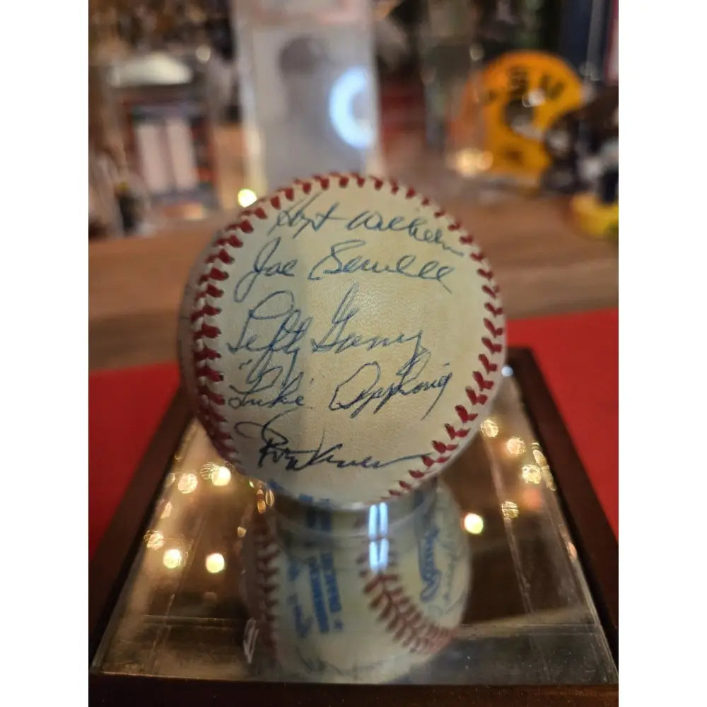 15 HOF Signed Ball In Case Mays,Marichal,Ford,Brock,Carew,Yaz Musial,Banks,Gomez Autographed Baseball